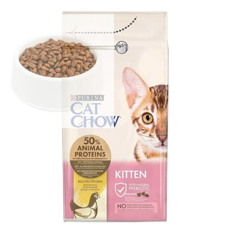 Cat chow kitten yavru kedi