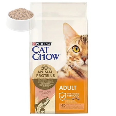 Cat chow somonlu kedi