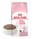Royal Canin Kitten Yavru Kedi Maması